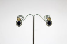 Load image into Gallery viewer, SS Sapphire CZ Gld Heart Earrings
